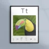 Bokstaven T