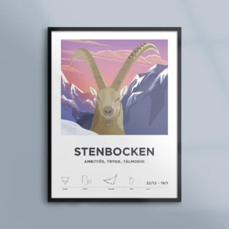 Poster Stjarntecken Stenbocken Kunskapat