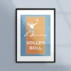 Poster om volleyboll