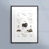 Poster med landdjur på arktis