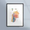 Poster med näsa, svalg och hals