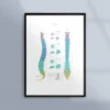 Poster om ryggraden