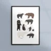 Poster med björnar