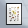 Poster med svampar