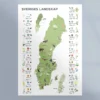 Poster med Sveriges alla landskap