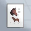 Poster om hästen