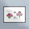 Poster om pollinering