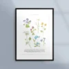Poster med sju sorters blommor i midsommartid