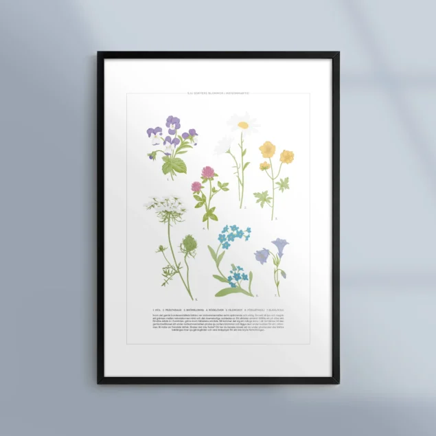 Poster-Tavla-Sju-Sorters-Blommor-Midsommar-Seder-Ram-Kunskapat