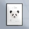 Poster med rödlistade djur - Jättepandan