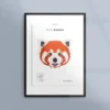 Poster med rödlistade djur - Röd panda