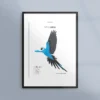 Poster med rödlistade djur - Spixara