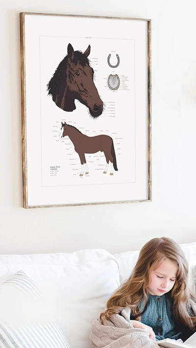 kunskapat hasten integritetspolicy