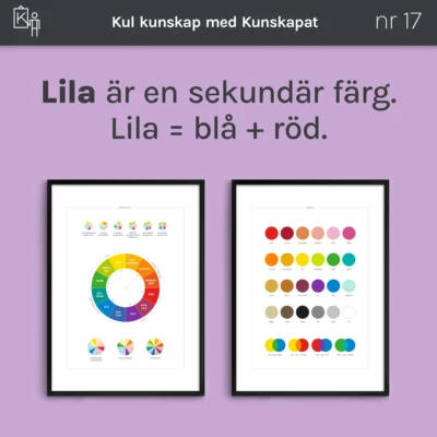 kunskapat kul 17 lila farg
