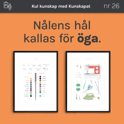 kunskapat kul 26 nalens oga