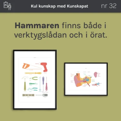kunskapat kul 32 hammaren orat verktyg