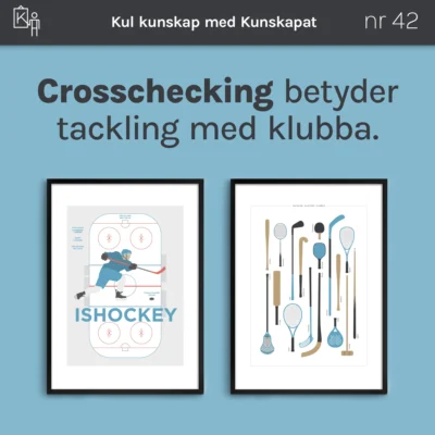 kunskapat kul 42 crosschecking ishockey