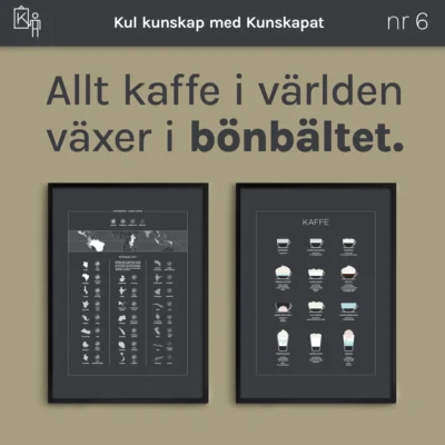 kunskapat kul 6 kaffe bonbaltet