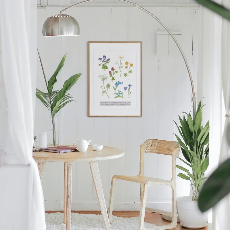 kv miljo sjo sorters blommor midsommar kunskapat