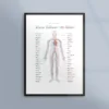 Poster med blodcirkulationssystemet / våra blodkärl